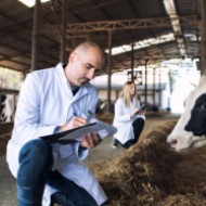 Agronomía y Ciencias Agropecuarias